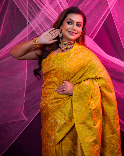Pure Handloom Tanchoi Banarasi Silk Saree With Intricate Traditional Weaving