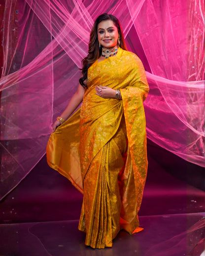 Pure Handloom Tanchoi Banarasi Silk Saree With Intricate Traditional Weaving